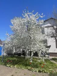 Продается дом Сумская, Сумы, Ковпаковский, Роменська фото 10 Продается дом Сумская, Сумы, Ковпаковский, Роменська фото 10