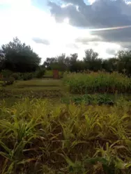 Продается дом Сумская, Сумский, Новоселица, станція Маяк с/т Хімік-2 фото 6 Продается дом Сумская, Сумский, Новоселица, станція Маяк с/т Хімік-2 фото 6