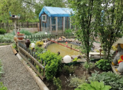 Продается дом Сумская, Сумы, Заречный, Барановке фото 13 Продается дом Сумская, Сумы, Заречный, Барановке фото 13