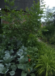 Продается дом Сумская, Сумы, Барановка фото 19 Продается дом Сумская, Сумы, Барановка фото 19