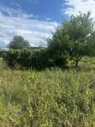 Продается дом Сумская, Сумы, Ковпаковский, Білопільський шлях с/т Фрунзенець фото 4 Продается дом Сумская, Сумы, Ковпаковский, Білопільський шлях с/т Фрунзенець фото 4