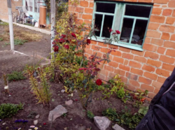 Продается дом Сумская, Сумский фото 13 Продается дом Сумская, Сумский фото 13