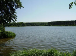 С. Писаревка, Сумская область, Сумской район, ветхий дом, 34 сотки фото 5 С. Писаревка, Сумская область, Сумской район, ветхий дом, 34 сотки фото 5