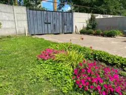 Продается дом Сумская, Сумский, Сад фото 4 Продается дом Сумская, Сумский, Сад фото 4