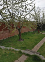 Продается дом Сумская, Сумы, Заречный, ул. Депутатская фото 15 Продается дом Сумская, Сумы, Заречный, ул. Депутатская фото 15