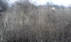 Продается дом Білопільський шлях с/т Фрунзенець, Сумы, Сумская, Ковпаковский фото 3 Продается дом Білопільський шлях с/т Фрунзенець, Сумы, Сумская, Ковпаковский фото 3