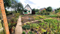 Продается дом Сумская, Сумы, Заречный, ул.Седова фото 1 Продается дом Сумская, Сумы, Заречный, ул.Седова фото 1