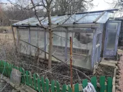 Дачна ділянка на Баранівці фото 4 Дачна ділянка на Баранівці фото 4