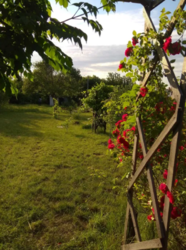 Продается дом Сумская, Сумы фото 1 Продается дом Сумская, Сумы фото 1