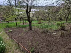 дача в р-ні Аеропорту фото 3 дача в р-ні Аеропорту фото 3