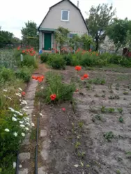   , , , -86, / , .10  1