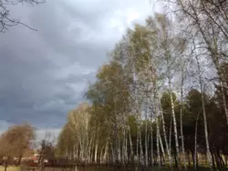 Продается дом Сумская, Сумы, Заречный, Римського-Корсакова, с/т Хімік-1 фото 5 Продается дом Сумская, Сумы, Заречный, Римського-Корсакова, с/т Хімік-1 фото 5