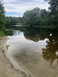 Продается дом Сумская, Сумы, Заречный, Барановка фото 15 Продается дом Сумская, Сумы, Заречный, Барановка фото 15