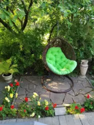 ��������� ��� �����������, �������, ������� ���� 5