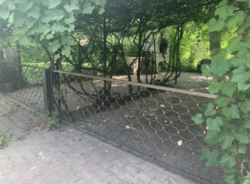 Продается дом Сумская, Сумский, Красное фото 1 Продается дом Сумская, Сумский, Красное фото 1