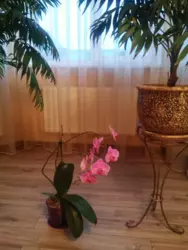 Продается дом Сумская, Сумы, Ковпаковский, Веретиновка фото 17 Продается дом Сумская, Сумы, Ковпаковский, Веретиновка фото 17