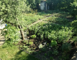 Продается дом Сумская, Сумы, Олдыш-86 (Басы) фото 3 Продается дом Сумская, Сумы, Олдыш-86 (Басы) фото 3