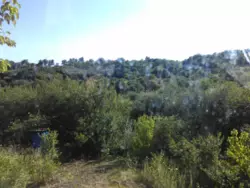 Продается дом Никонци, Сумский, Сумская фото 12 Продается дом Никонци, Сумский, Сумская фото 12