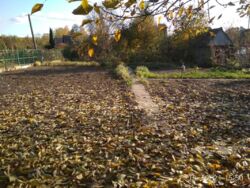 Дача Барановка фото 1 Дача Барановка фото 1