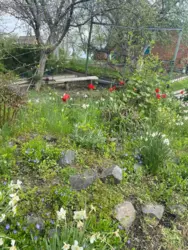 Продается дом с/т Барвінок за Аеропортом, Сумы, Сумская, Заречный фото 2 Продается дом с/т Барвінок за Аеропортом, Сумы, Сумская, Заречный фото 2