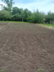 Продается дом Сумская, Сумский, Севериновка, с.Перехрестівка 7 км фото 12 Продается дом Сумская, Сумский, Севериновка, с.Перехрестівка 7 км фото 12