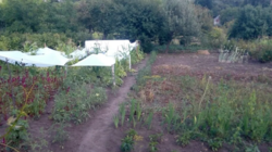 Продается дом Сумская, Сумы, Ковпаковский фото 5 Продается дом Сумская, Сумы, Ковпаковский фото 5