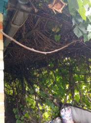 Продается дом Сумская, Сумский фото 5 Продается дом Сумская, Сумский фото 5