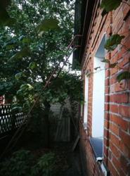 Продается дом Сумская, Сумы, Заречный фото 1 Продается дом Сумская, Сумы, Заречный фото 1