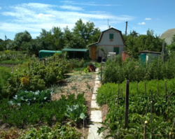 Продается дом Сумская, Сумы, Басы фото 2 Продается дом Сумская, Сумы, Басы фото 2