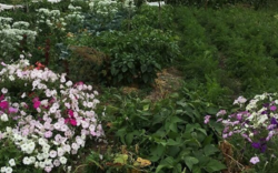 Продается дом Сумская, Сумский, Красное фото 7 Продается дом Сумская, Сумский, Красное фото 7