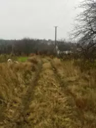 Продается дом С/Т Барвінок, 2 км от конечной Г. Кондратьева, Сумы, Сумская фото 2 Продается дом С/Т Барвінок, 2 км от конечной Г. Кондратьева, Сумы, Сумская фото 2