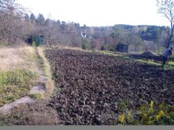 Продается дом Сумская, Сумский, Рыбци фото 2 Продается дом Сумская, Сумский, Рыбци фото 2