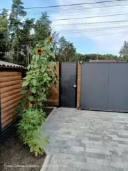 Продается дом Сумская, Сумы, Ковпаковский, р-н школи №5 фото 10 Продается дом Сумская, Сумы, Ковпаковский, р-н школи №5 фото 10