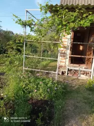 дача на Баранівці фото 5 дача на Баранівці фото 5