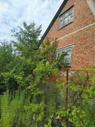 Продается дом Никонци, Сумский, Сумская фото 2 Продается дом Никонци, Сумский, Сумская фото 2