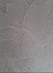 Продается дом Сумская, Сумы, Заречный, Баранівка фото 10 Продается дом Сумская, Сумы, Заречный, Баранівка фото 10