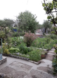 Продается дом Сумская, Сумы, Барановка фото 2 Продается дом Сумская, Сумы, Барановка фото 2