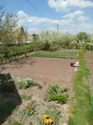 Продается дом Сумская, Сумы, Заречный, Олдиш фото 8 Продается дом Сумская, Сумы, Заречный, Олдиш фото 8