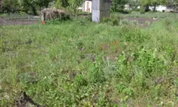 Продается дом Білопільський шлях с/т Фрунзенець, Сумы, Сумская, Ковпаковский фото 2 Продается дом Білопільський шлях с/т Фрунзенець, Сумы, Сумская, Ковпаковский фото 2