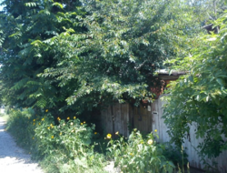 Дом, участок, машина фото 8 Дом, участок, машина фото 8