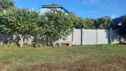 Продается дом Низы, Сумский, Сумская фото 1 Продается дом Низы, Сумский, Сумская фото 1