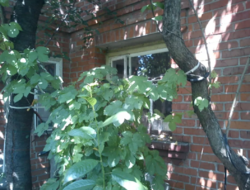 Дом, участок, машина фото 16 Дом, участок, машина фото 16