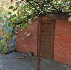 ��������� ��� (����� ���� ����������), ��� ���������, �������, ���������, ������� ���� 5