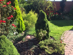 Продается дом Сумская, Сумы фото 18 Продается дом Сумская, Сумы фото 18