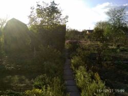 Дача Барановка фото 5 Дача Барановка фото 5