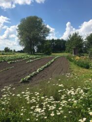 Продается дом Сумская, Сумский, Нижняя Сыроватка фото 4 Продается дом Сумская, Сумский, Нижняя Сыроватка фото 4