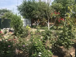 Продается дом Сумская, Сумы, Ковпаковский, за Косівщиною фото 16 Продается дом Сумская, Сумы, Ковпаковский, за Косівщиною фото 16