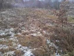 Продается дом Сумская, Сумы, Заречный, Баранівка с/т Енергетик-1 фото 2 Продается дом Сумская, Сумы, Заречный, Баранівка с/т Енергетик-1 фото 2