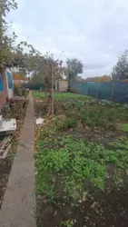 Продается дом Сумская, Сумы, Заречный, Баранівка с/т Нафтовик фото 3 Продается дом Сумская, Сумы, Заречный, Баранівка с/т Нафтовик фото 3