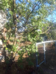 Продается дом Сумская, Сумы, Заречный, ул.Нефтянник,2 фото 4 Продается дом Сумская, Сумы, Заречный, ул.Нефтянник,2 фото 4